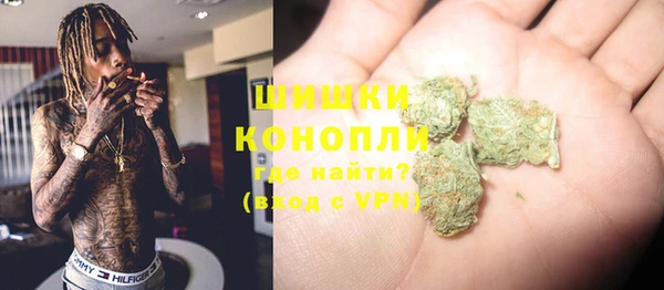 ешки Аркадак